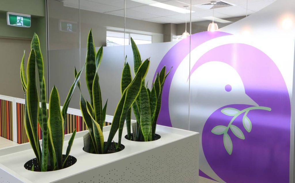 Catholic Homes Head Office Photos