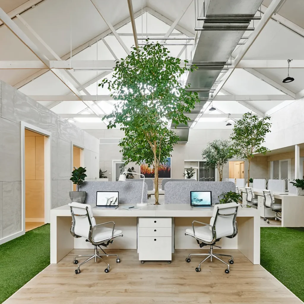 Endota Head Office Photos