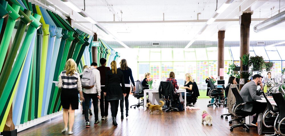 Mamamia Head Office Photos