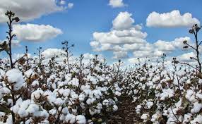 CRDC Head Office Photos