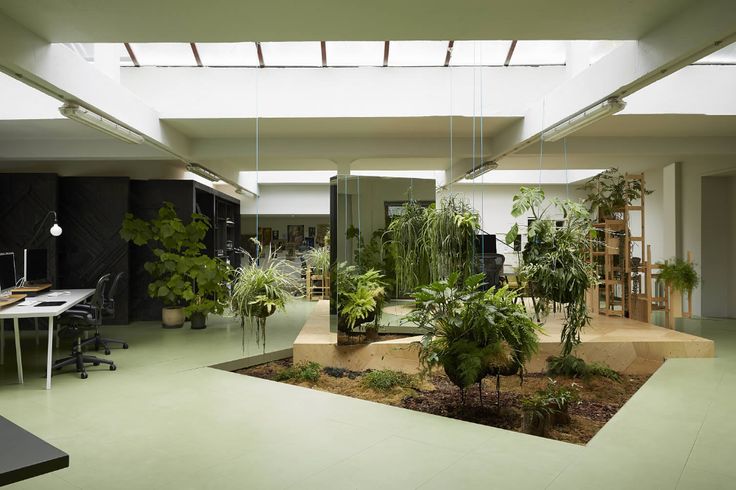 Plantinspirations Head Office Photos