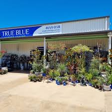 True Blue Garden Centre Head Office Photos