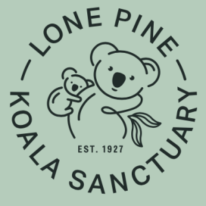 Lone Pine Koala Sanctuary