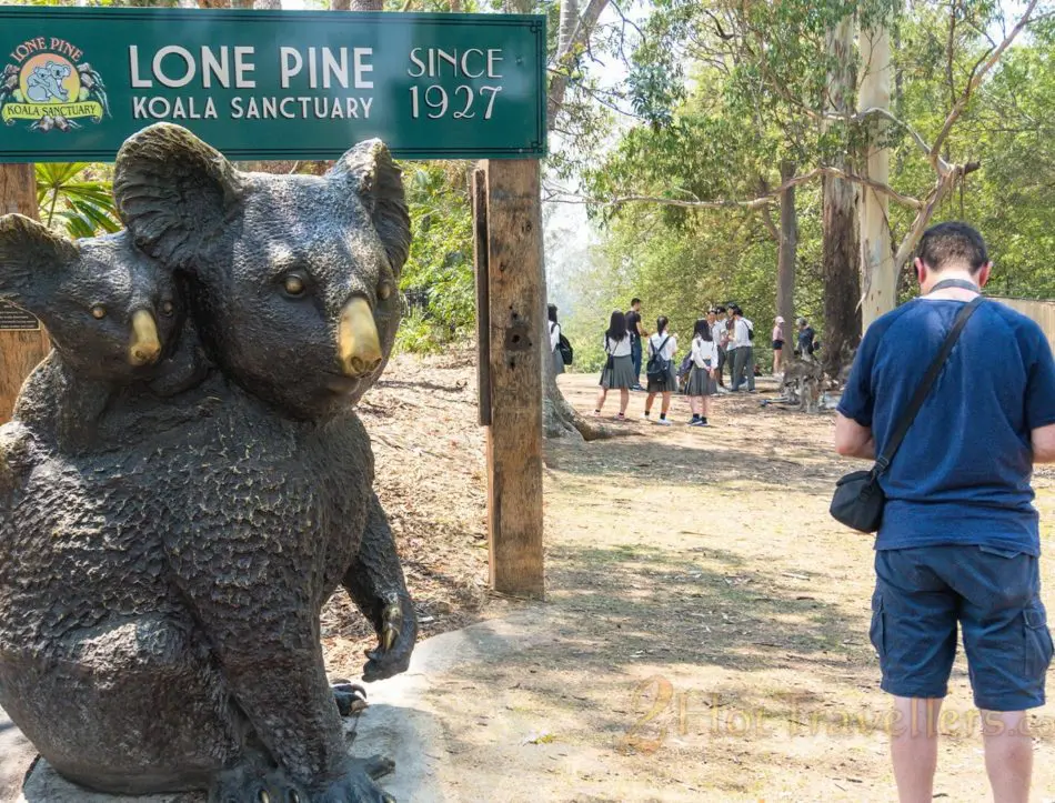Lone Pine Koala Sanctuary Head Office Photos