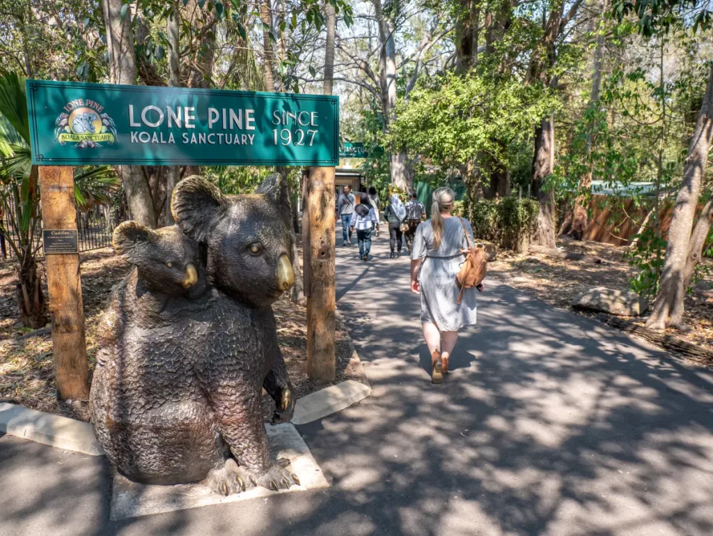 Lone Pine Koala Sanctuary Head Office Photos
