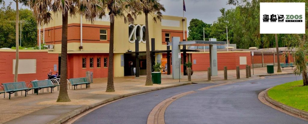 Zoos Victoria Head Office Photos