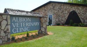 Albion Vet Surgery Head Office Photos