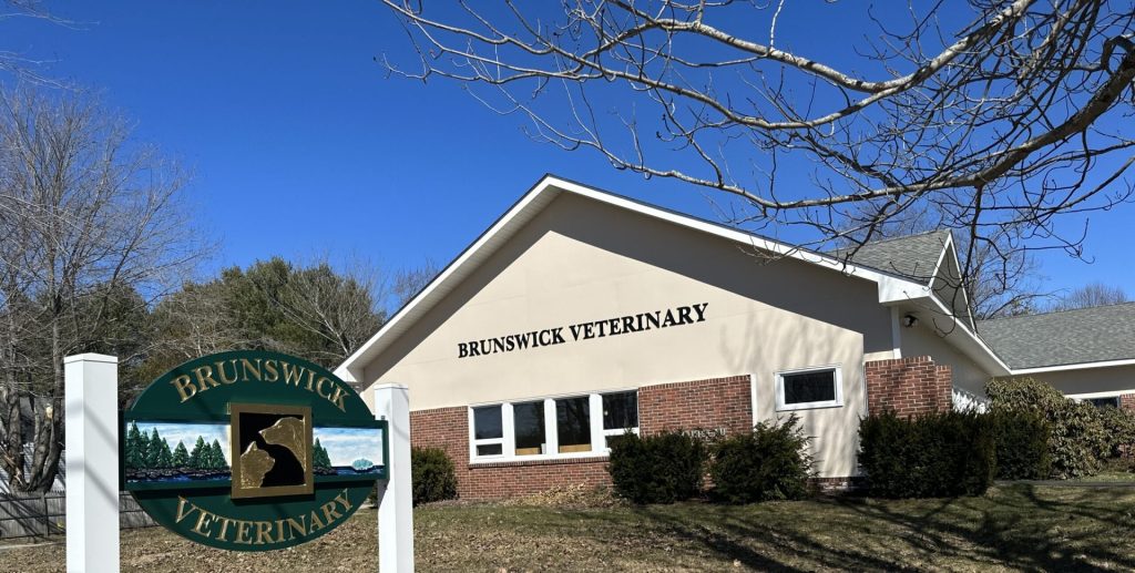Brunswick Central Vet Clinic Head Office Photos
