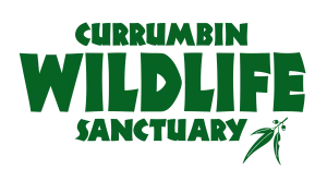 Currumbin Wildlife Sanctuary