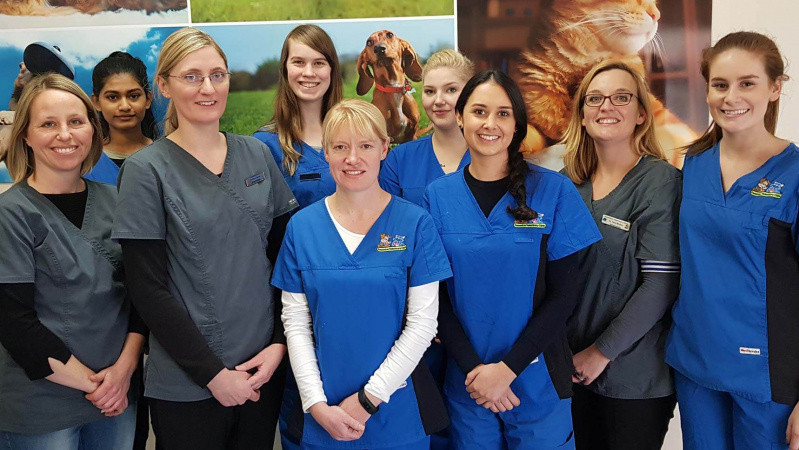 Essendon Veterinary Clinic Head Office Photos