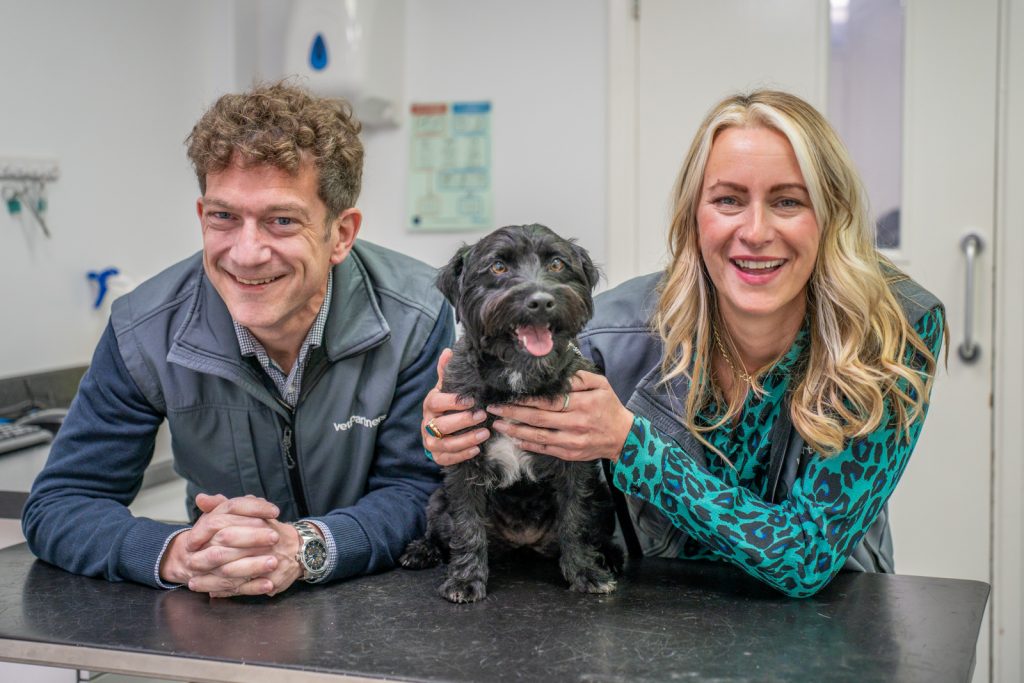 Fiona's Pet Services Head Office Photos