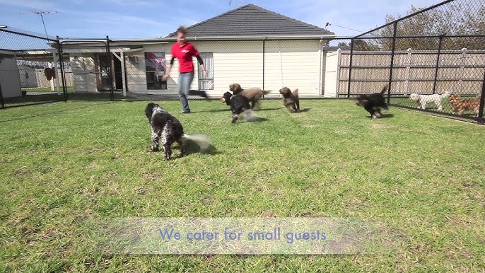 Hallam Park Pet Resort Head Office Photos