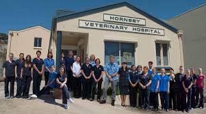 Hornsby Veterinary Hospital Head Office Photos