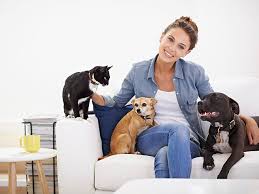Pet Sitters Head Office Photos