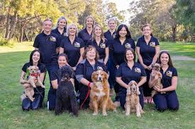 PetFriends Head Office Photos