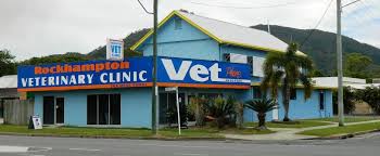 Rockhampton Veterinary Clinic Head Office Photos