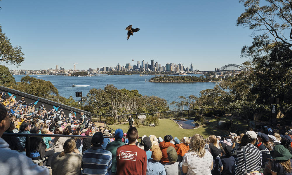 Taronga Zoo Head Office Photos