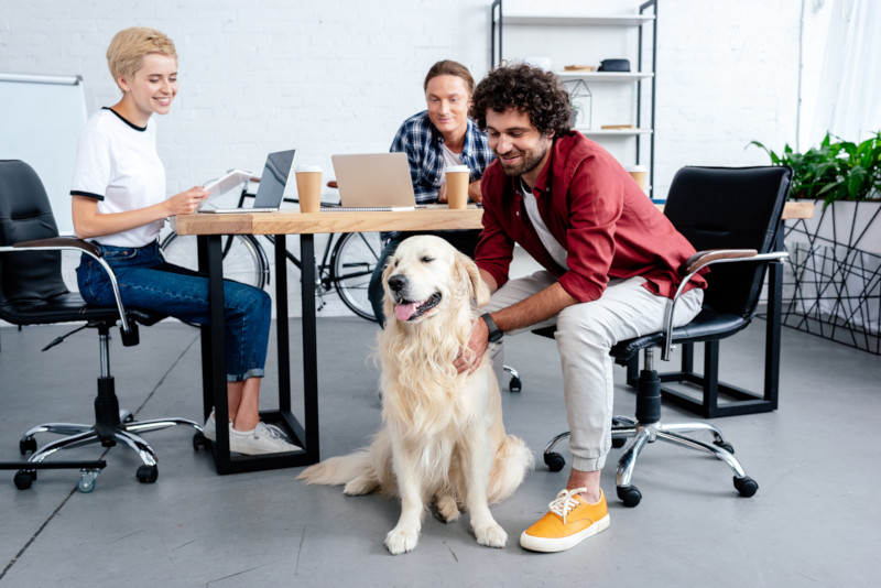 The Pet Community Head Office Photos