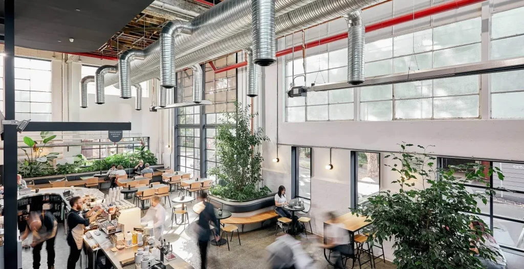 Veneziano Coffee Roasters Head Office Photos