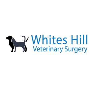 Whites Hill Veterinary Surgery