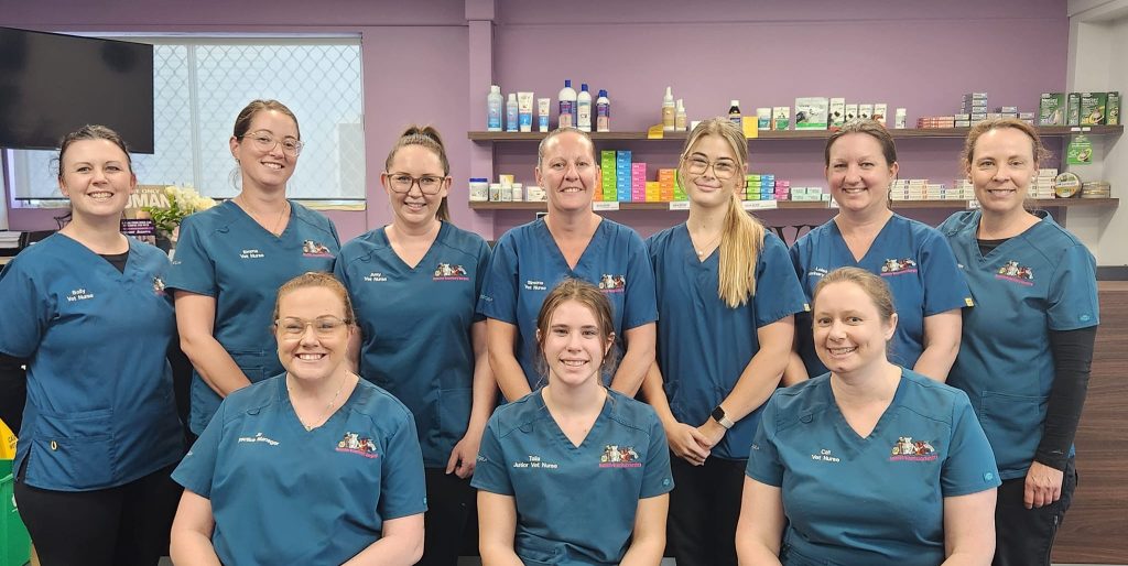 Yeppoon Veterinary Surgery Head Office Photos