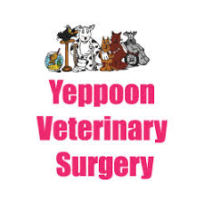 Yeppoon Veterinary Surgery