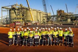 Lycopodium Head Office Photos