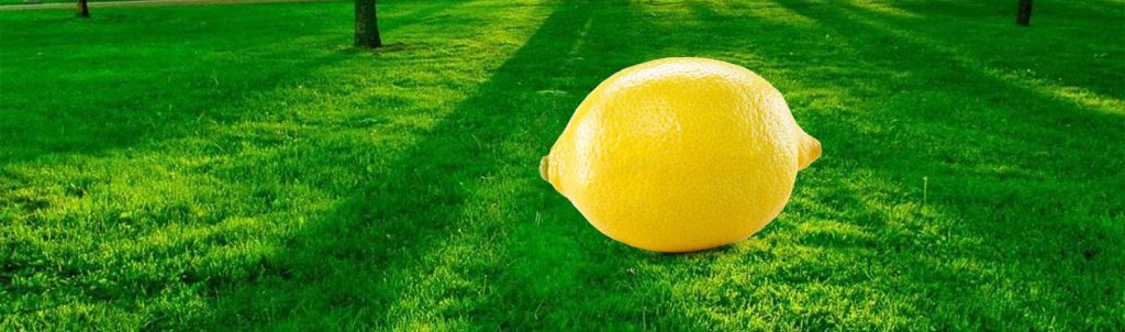 Jeffrey Hills & Associates Head Office Photos