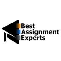 Best Assignment Experts