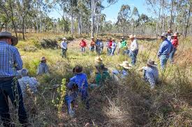 NQ Dry Tropics Head Office Photos