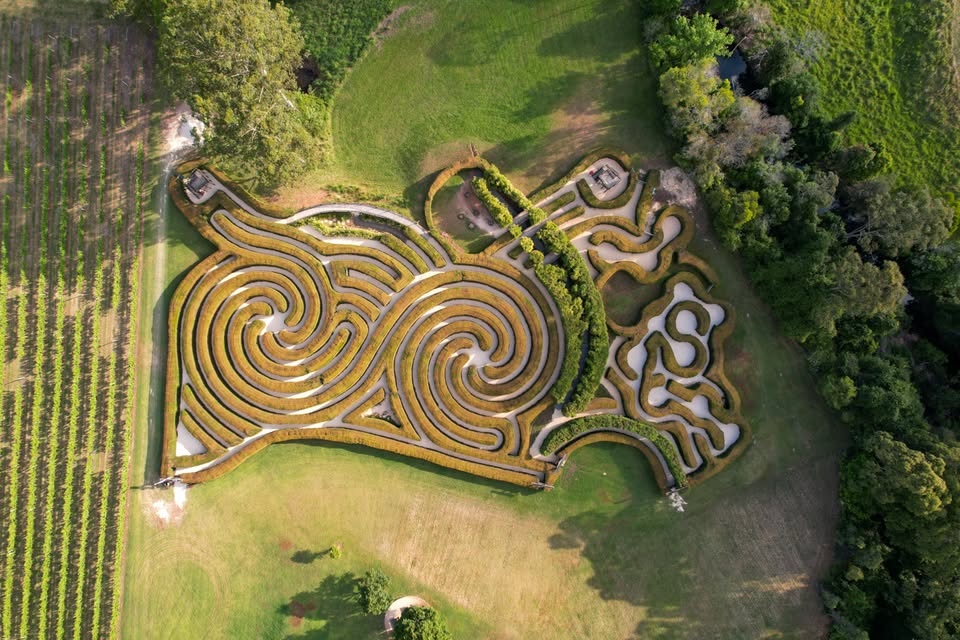 Bago Maze & Winery Head Office Photos