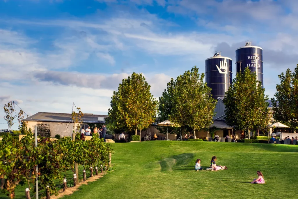 Bird In Hand Winery Head Office Photos