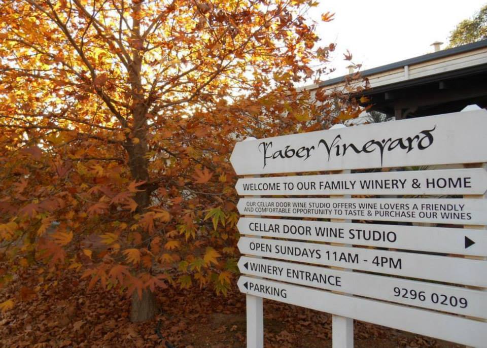 Faber Vineyard Head Office Photos