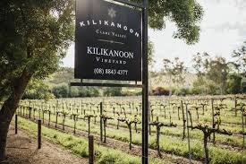 Kilikanoon Wines Head Office Photos