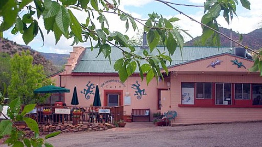 Laughing Lizard Brewing Co Head Office Photos