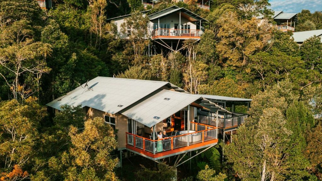 O'Reilly's Rainforest Retreat Head Office Photos