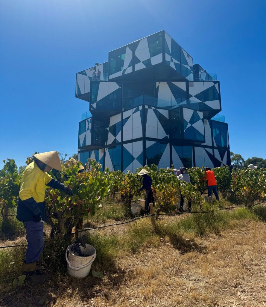d'Arenberg Head Office Photos