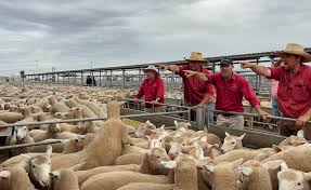 Forbes Livestock Agency Head Office Photos