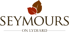 Seymour's On Lydiard Motel