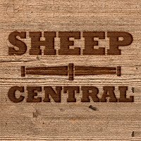 Sheep Central