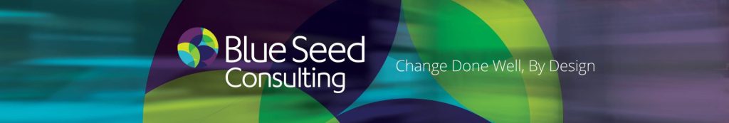 Blue Seed Consulting Head Office Photos