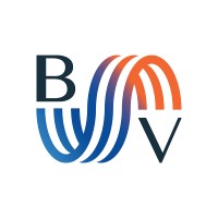 BlueVisions Management